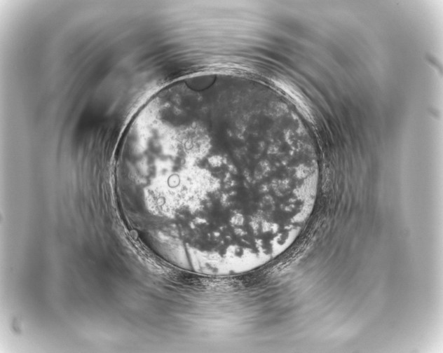 X0000093410899200711020953