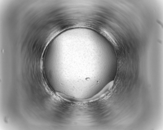 X0000093410900200711020953