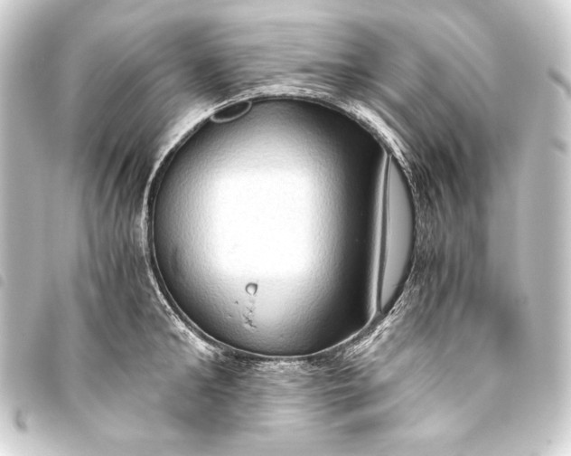 X0000093410902200711020953