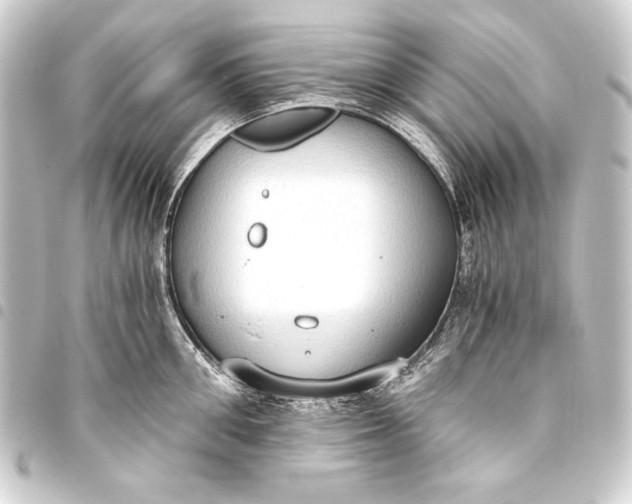 X0000093410906200711020953