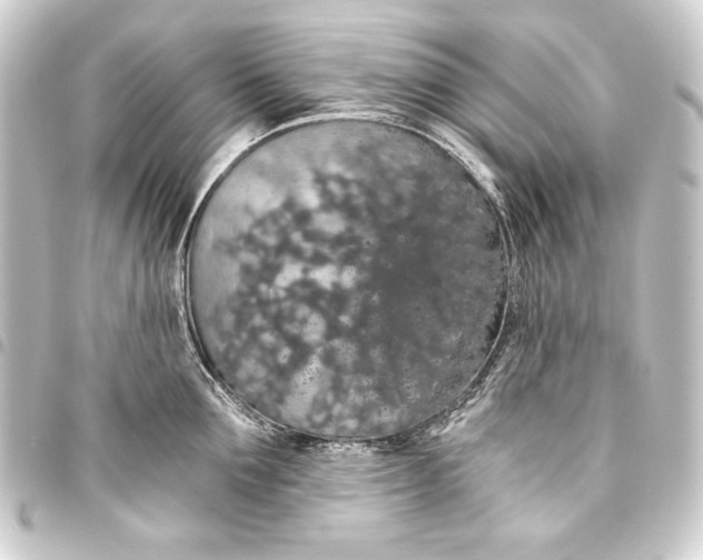 X0000093410907200711020953