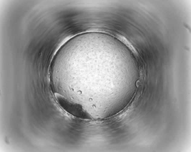 X0000093410908200711020952