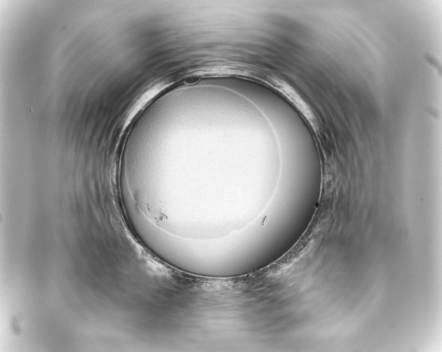 X0000093410909200711020952