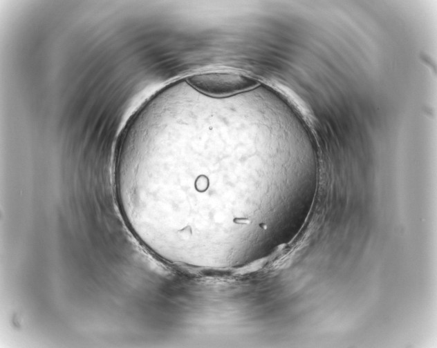 X0000093410910200711020952