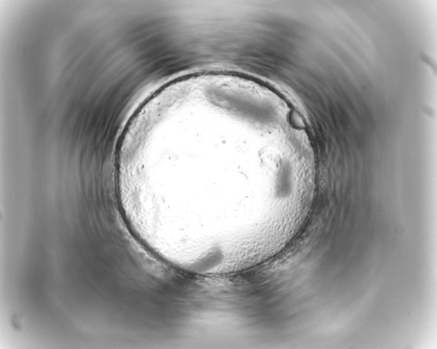 X0000093410911200711020952