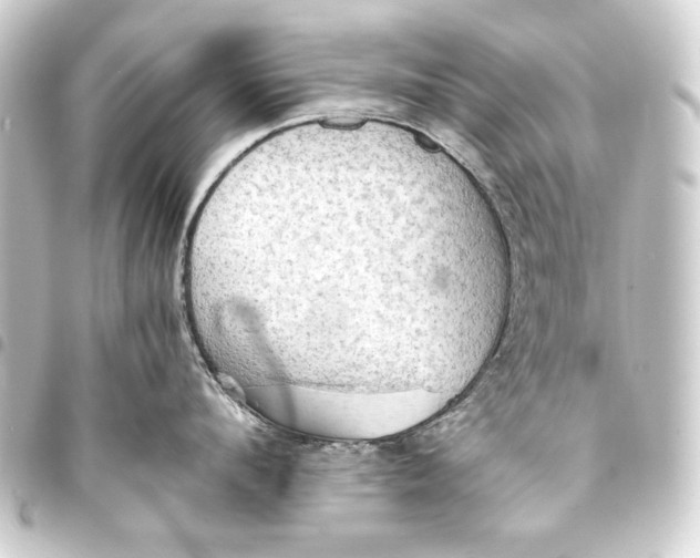 X0000093410912200711020952