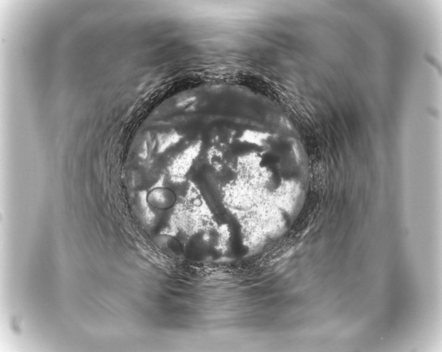 X0000093410913200711020952