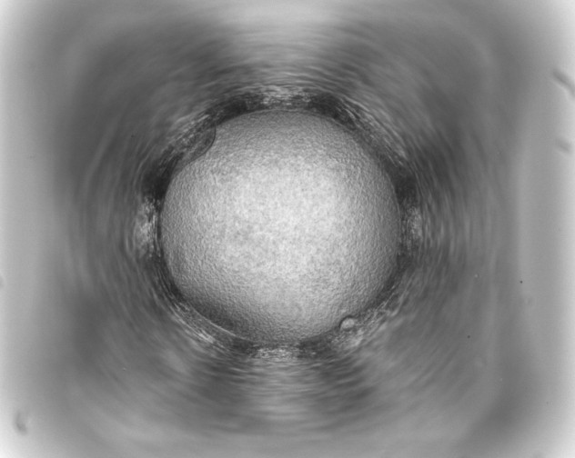 X0000093410914200711020952