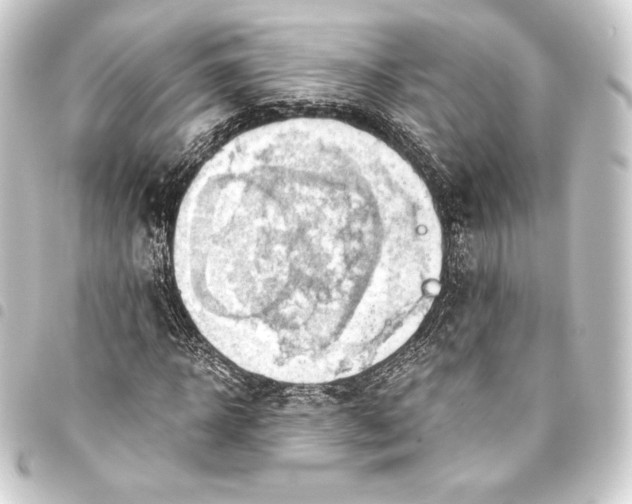 X0000093410918200711020952