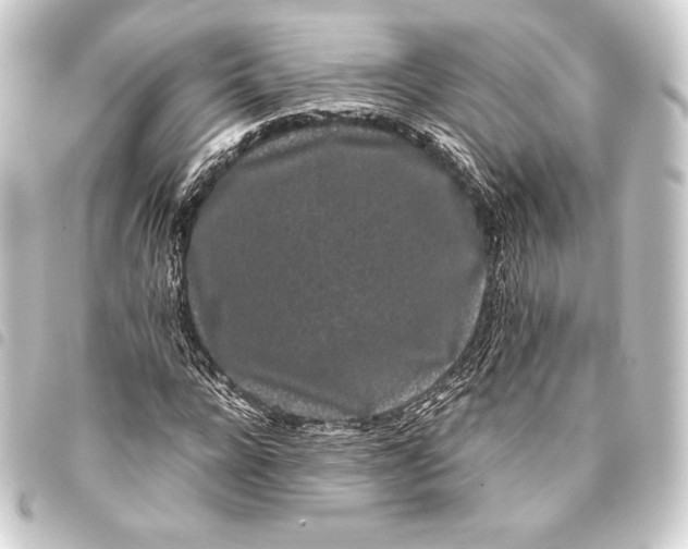 X0000093410920200711020952