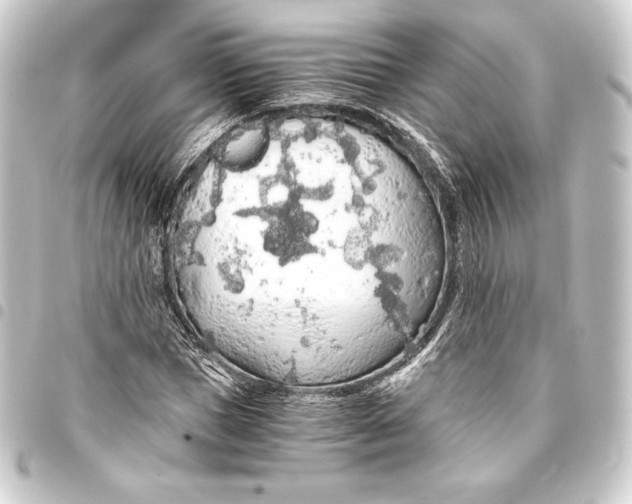 X0000093410921200711020952