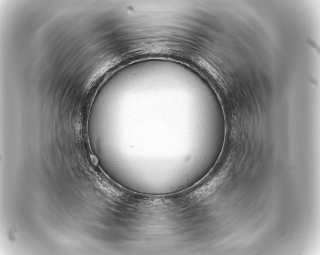 X0000093410922200711020952