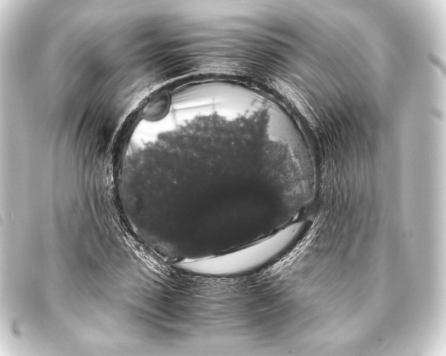 X0000093410923200711020952