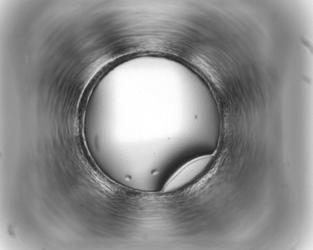 X0000093410924200711020952