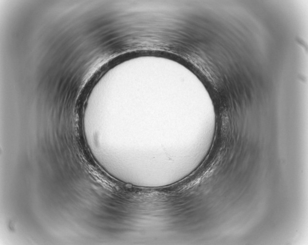 X0000093410926200711020952