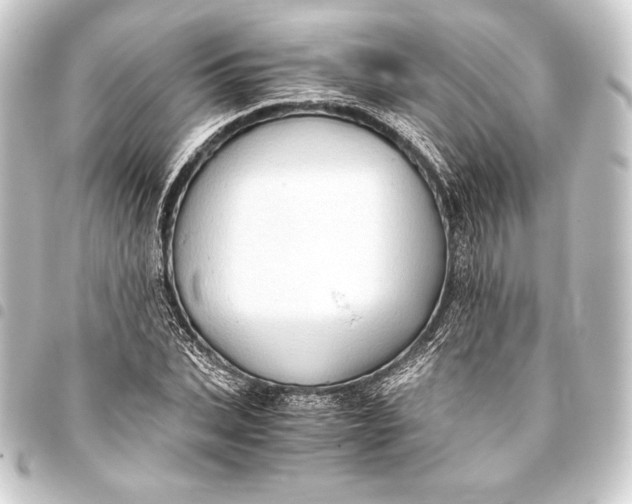 X0000093410927200711020952