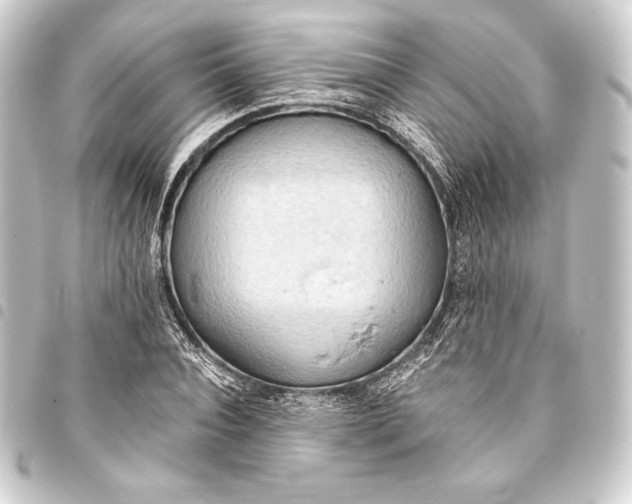 X0000093410928200711020952