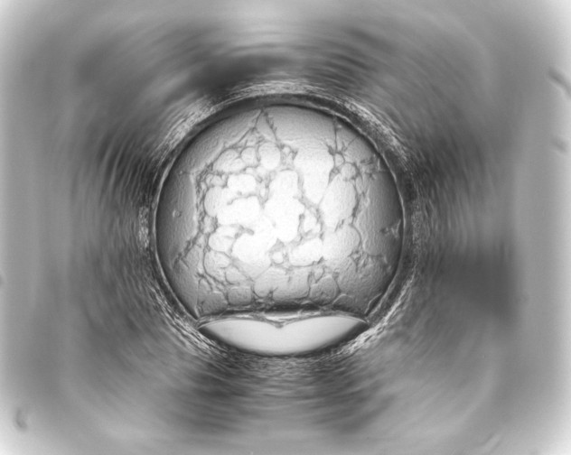 X0000093410929200711020952