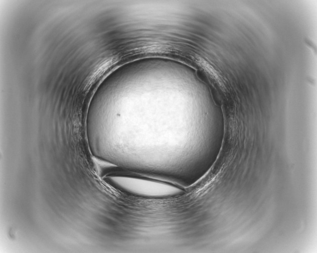 X0000093410930200711020952