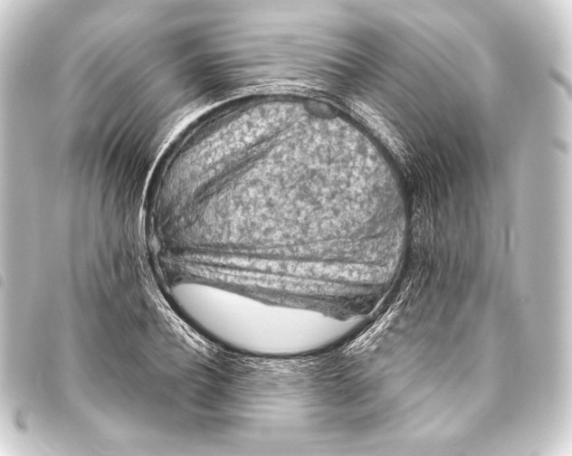 X0000093410932200711020952