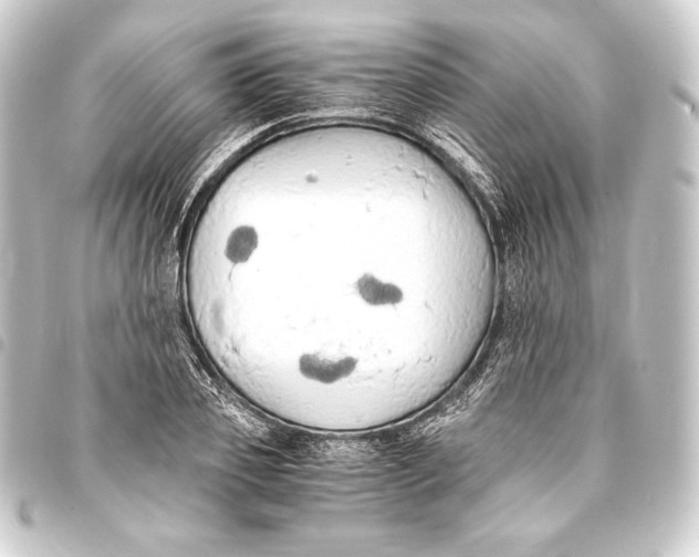 X0000093410933200711020952