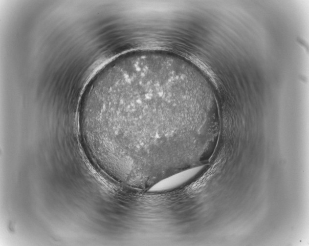 X0000093410935200711020952