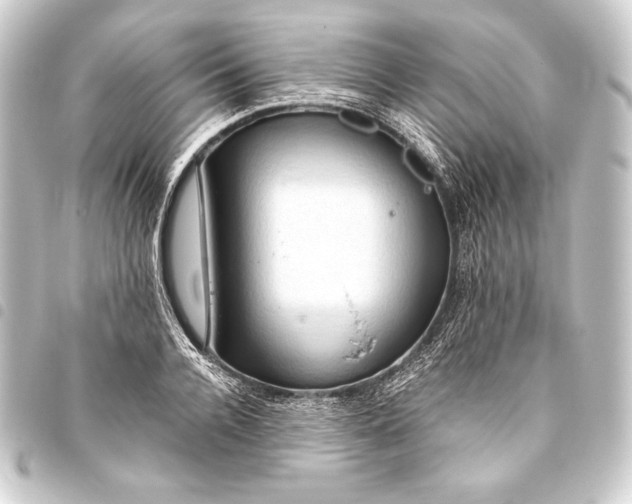 X0000093410936200711020952