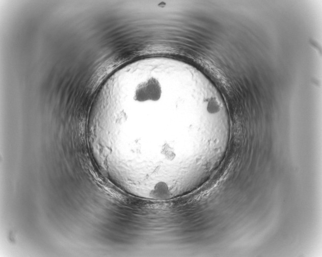 X0000093410937200711020952