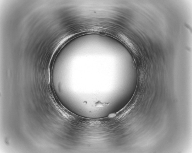 X0000093410940200711020952