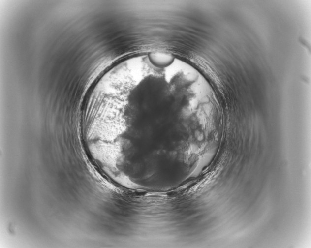 X0000093410941200711020952