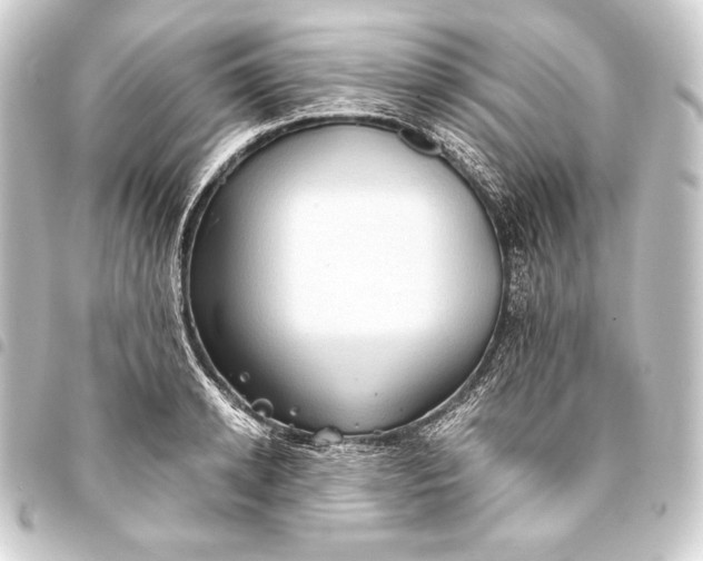 X0000093410942200711020952