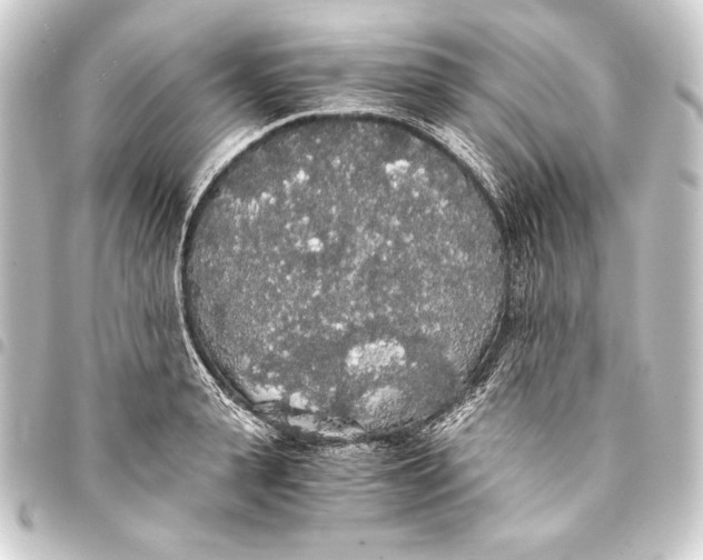 X0000093410943200711020952