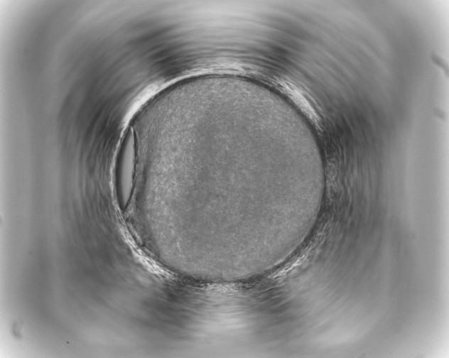 X0000093410944200711020952