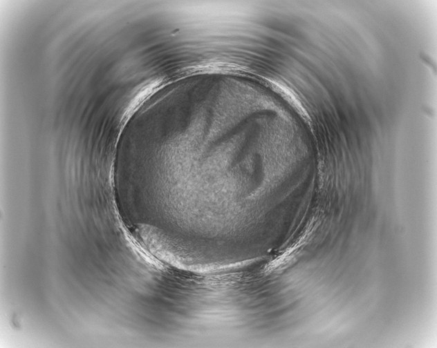 X0000093410946200711020952