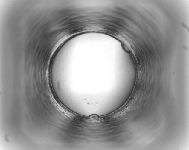 X0000093410947200711020952