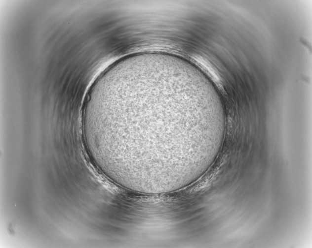 X0000093410948200711020952