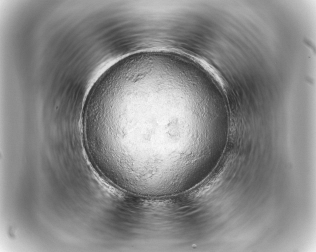 X0000093410951200711020952