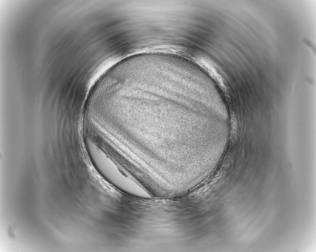 X0000093410952200711020952