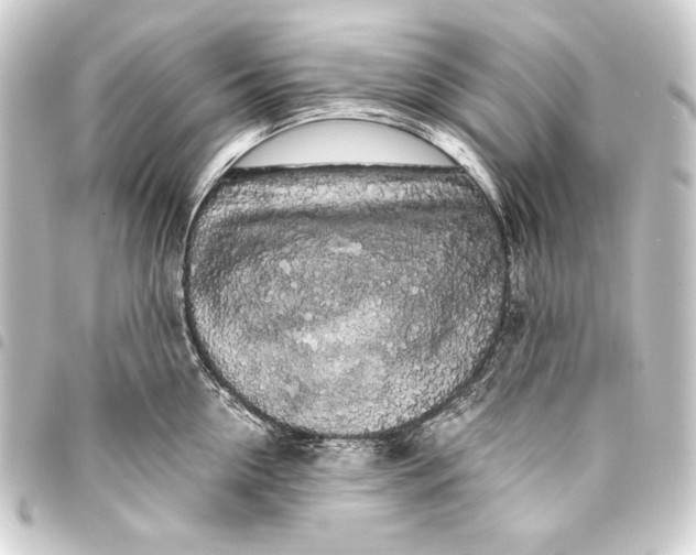 X0000093410954200711020952