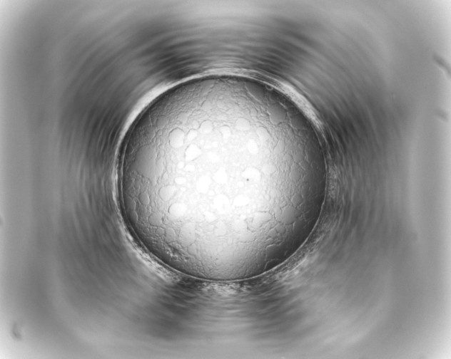 X0000093410955200711020952