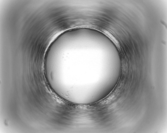 X0000093410956200711020952