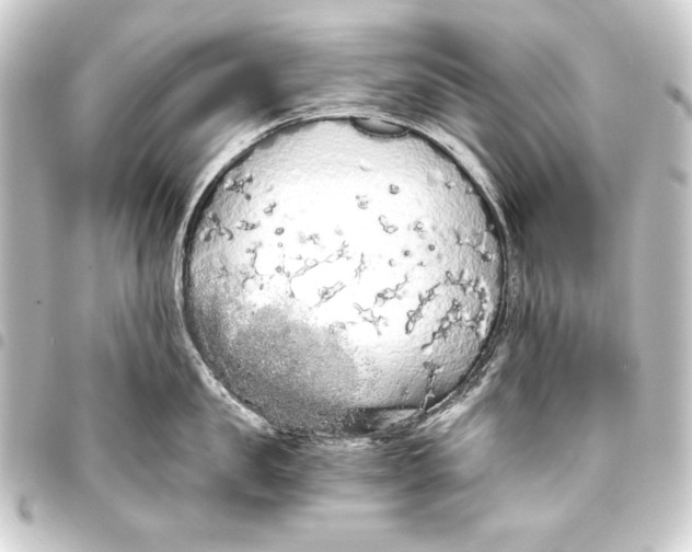 X0000093410957200711020952