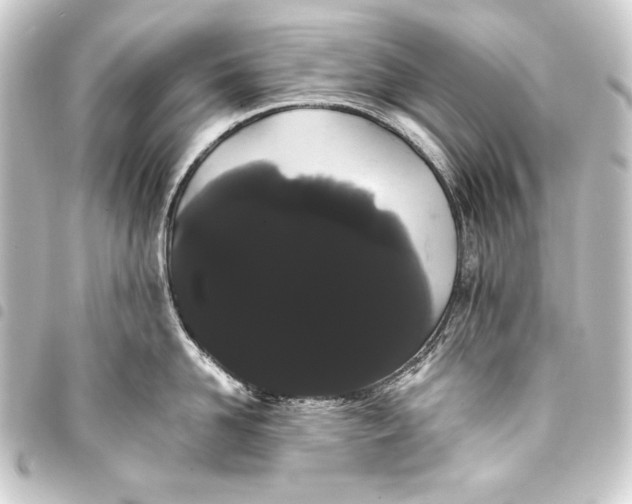 X0000093410958200711020952