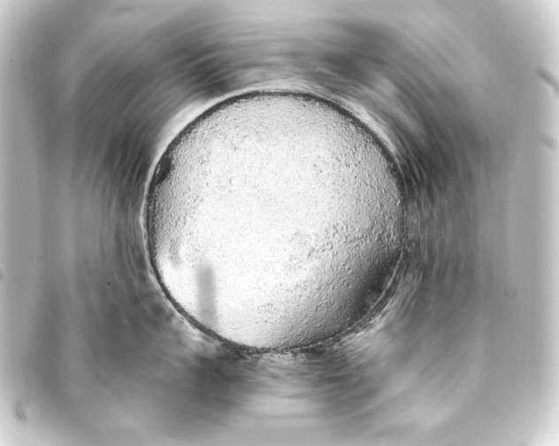 X0000093410959200711020952