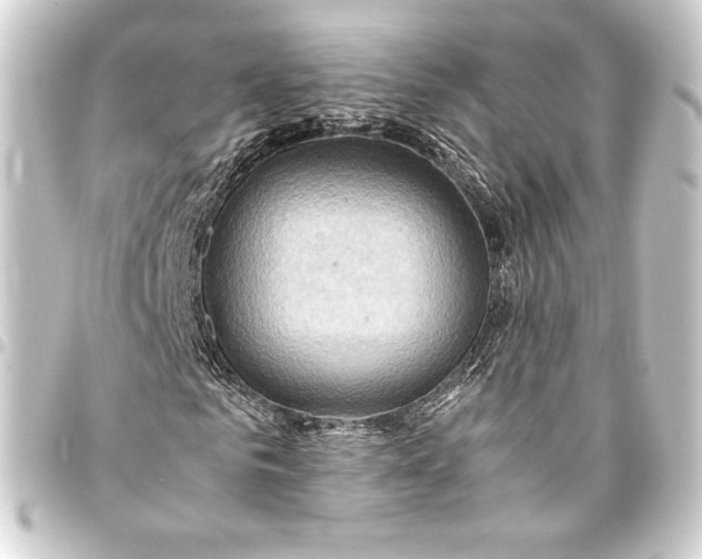 X0000093410961200711020952