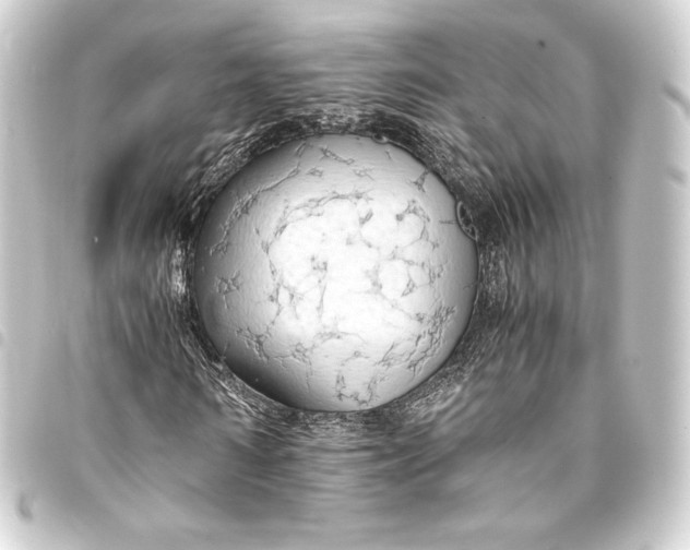 X0000093410962200711020952