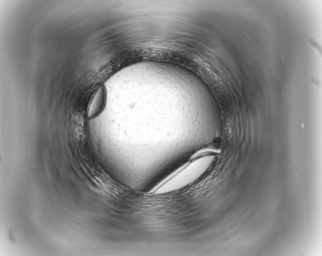 X0000093410964200711020952