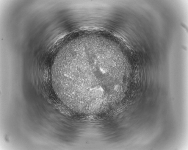 X0000093410966200711020952