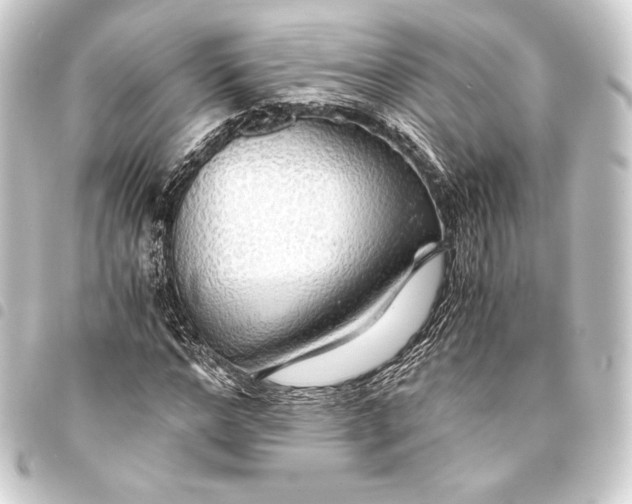 X0000093410968200711020952