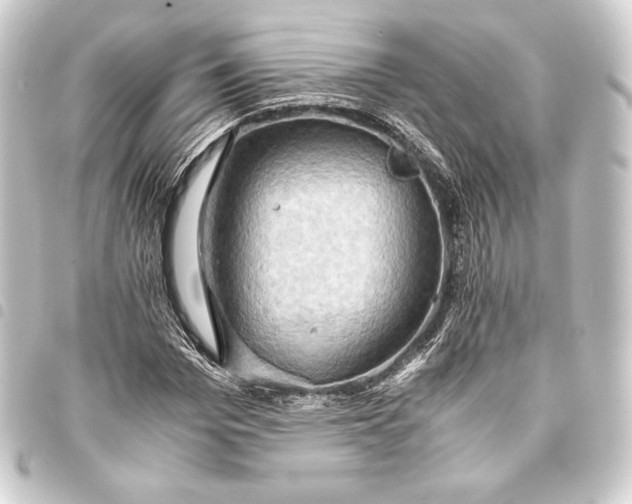 X0000093410969200711020952